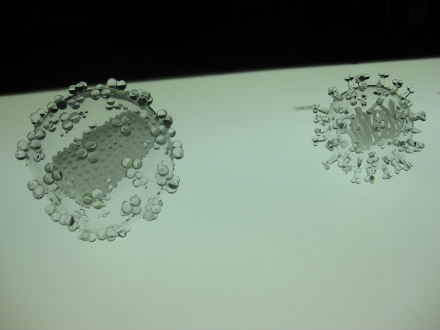 Rogues' gallery: HIV and SARS, side by side. 