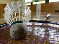 shuttlecockracket.jpg