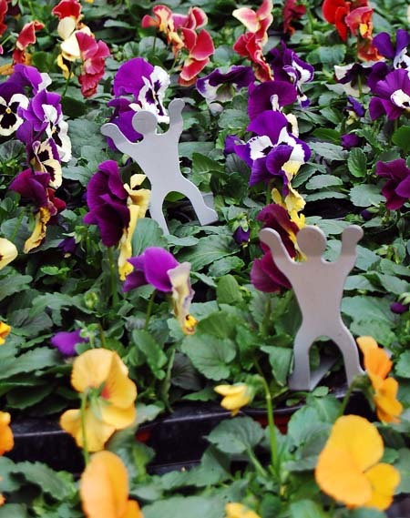 Bookends in pansies on Columbia Road Flower Market  Team Londonistas