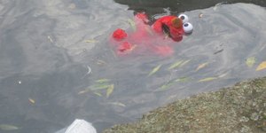 Photo Of The Day: Is This The Saddest Thing You've Seen all Christmas?