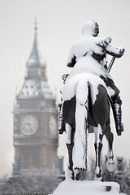 snow horse1.jpg