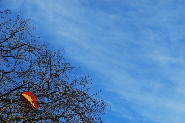 WERU_6Dec09.jpg