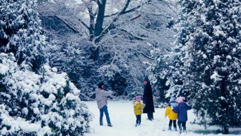 winterarboretum.jpg