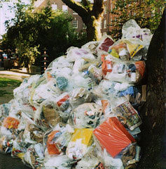 rubbish1901.jpg