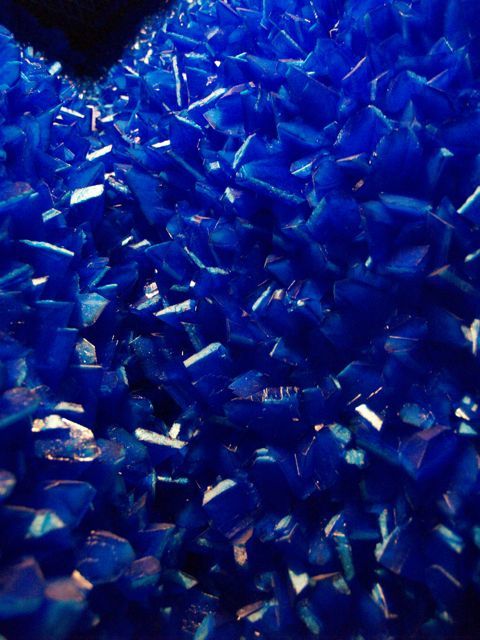 15767_1001l-seizure-ju4.jpg