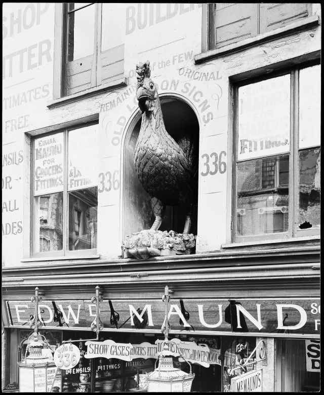 This gilded cockerel once adorned The Cock public house in Fleet Street, haunt of Pepys, Thackeray, Dickens and Tennyson, until 1887 when the building was demolished for the Bank of England Law Courts Branch. Tennyson wrote of it: â€œThe Cock was of a larger egg / Than modern poultry drop, / Stept forward on a firmer leg, / And crammâ€™d a plumper crop.â€
Edward Maud, a joiner and shopfitter, acquired the bird and gave it pride of place in a niche of the front of his premise in Old Street, where it became a local landmark.