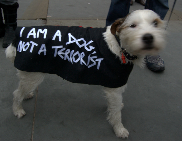 Puppy Power