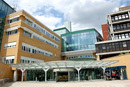 whittington_250210.jpg