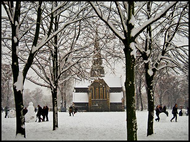 Turnham Green Church turns into a surreal winter wonderland just for a day. Just one of many scenes from the arctic blizzard in London on 2nd February 2009.