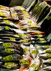 morefish.jpg