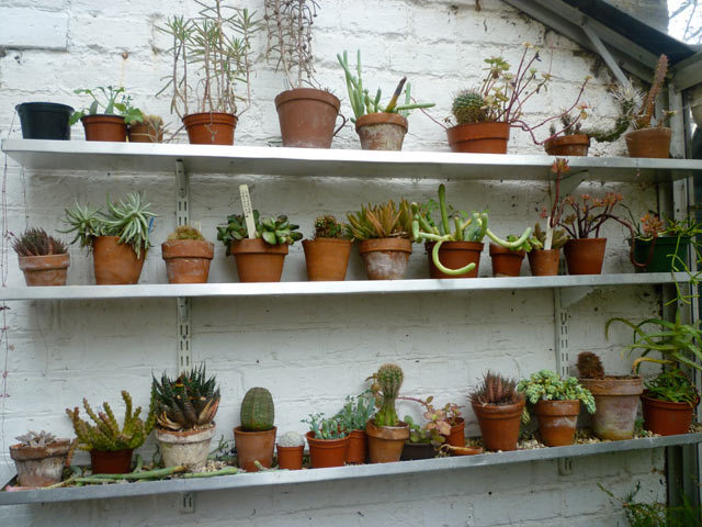 One wonderfully organised greenhouse