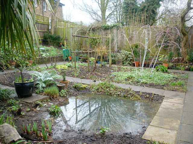 View of the rear garden and pond