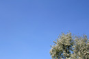 blueskies_200410.jpg