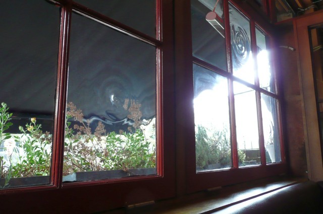 16887_greenwich_union_window.jpg