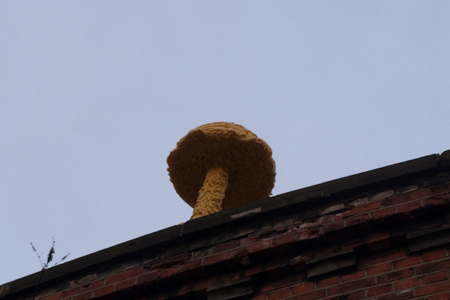16900_cloud_close.jpg