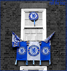 1105_chelsea.jpg
