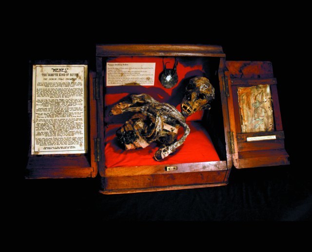 The mummified remains of a child vampire.