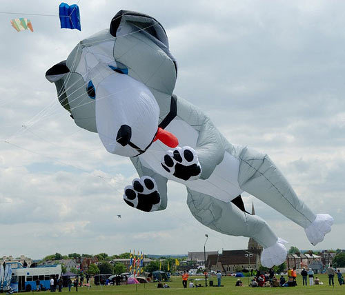 bikekite140610.jpg