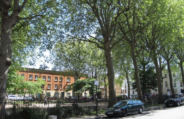 Sunny Whitechapel