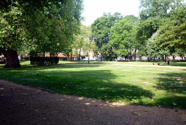 Shady lawn