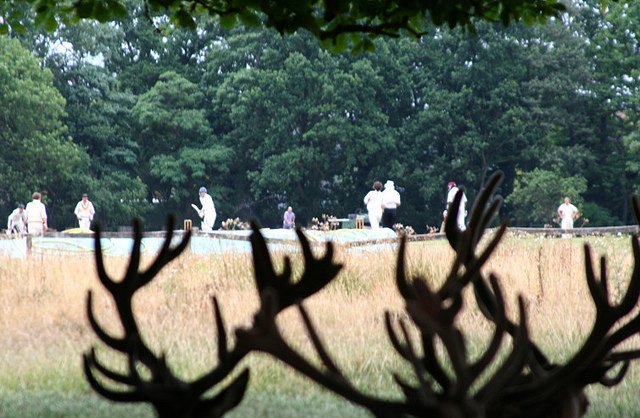 Bushy Park Teddington.jpg