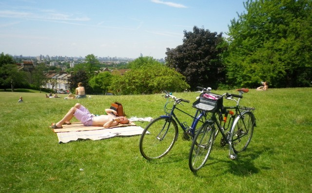 Sunbathing in Telegraph Hill Park