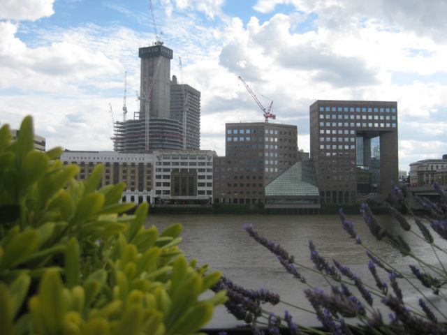 The scene from our secret viewing platform on the north bank.