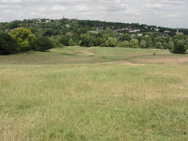 Parliament Hill: "One morning, when Artemis was out walking the dogs, she saw a tree where no tree should be... This tree was a newcomer: it had not been there yesterday." p.1