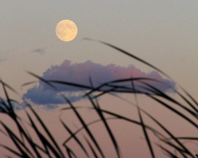fullmoon0810.jpg