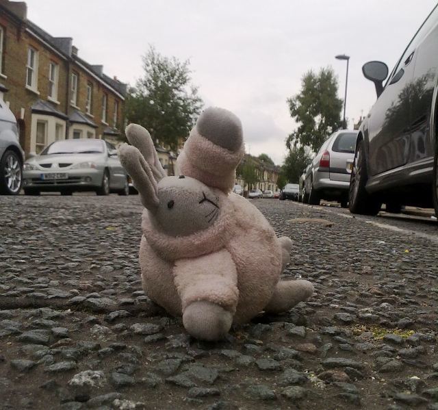 18376_dieingbunny.jpg