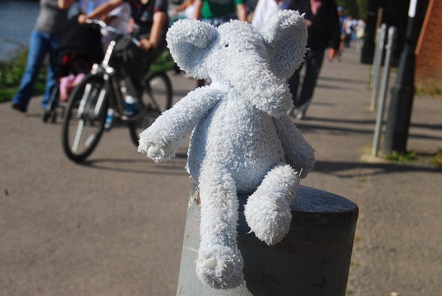 18376_elephantpost2.jpg