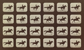 1309_muybridge.jpg