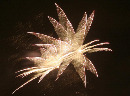 fireworks150910.jpg