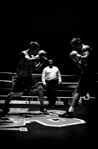 McAleese v Noble