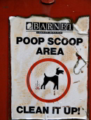 barnetcouncil_271010.jpg