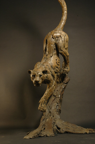 19052_hamish2.jpg