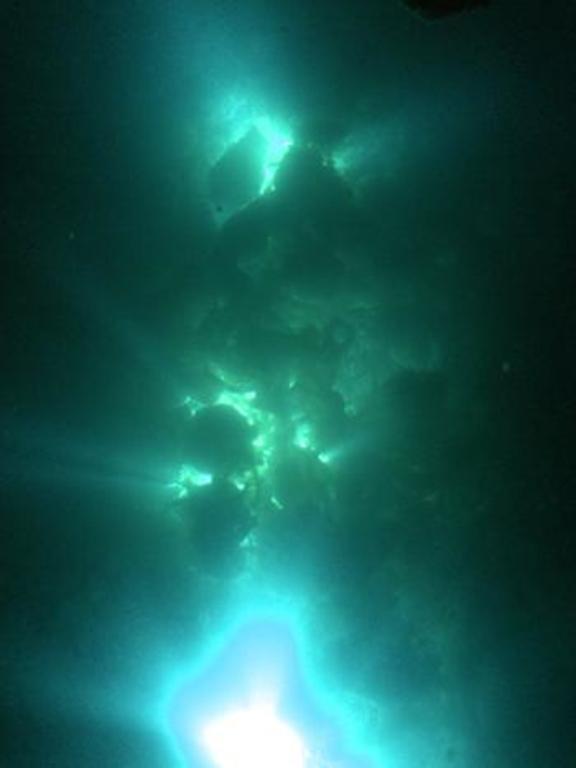 christian-kerrigan-encased-nature.jpg