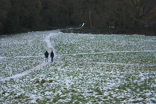 Snow on Hampstead Heath
