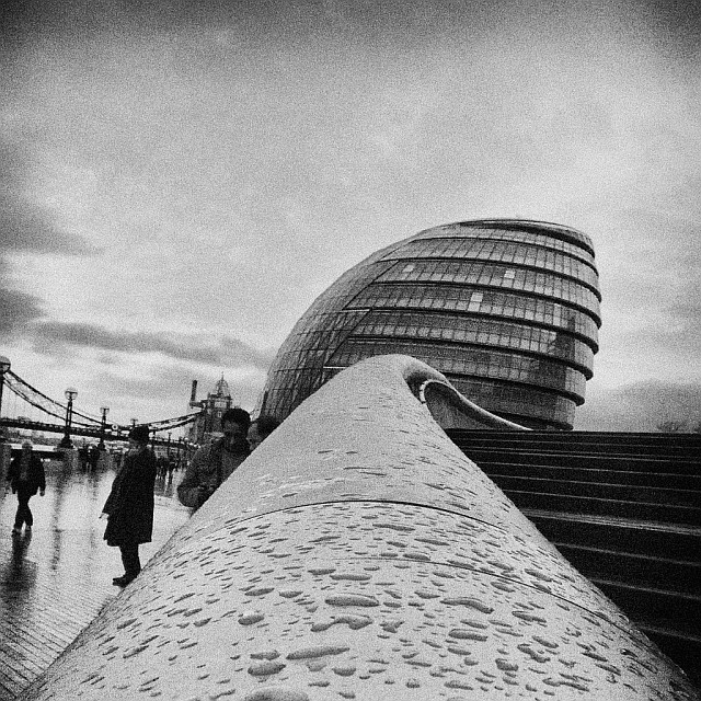 Damp City Hall