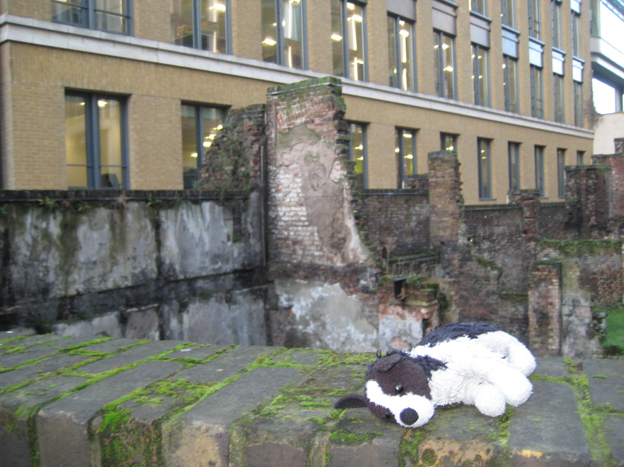 abandoned-doggie-sleeps.jpg
