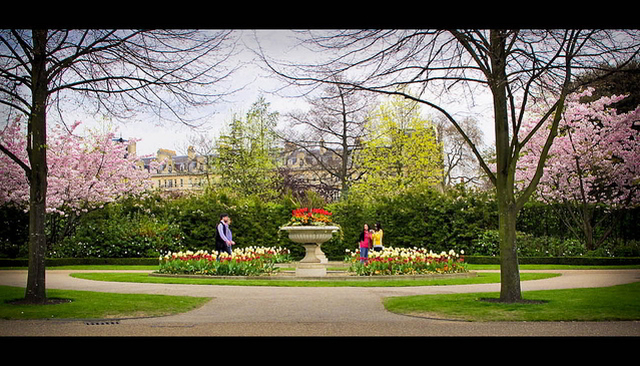 A flowery rendezvous in Regent's Park / Sven Loach