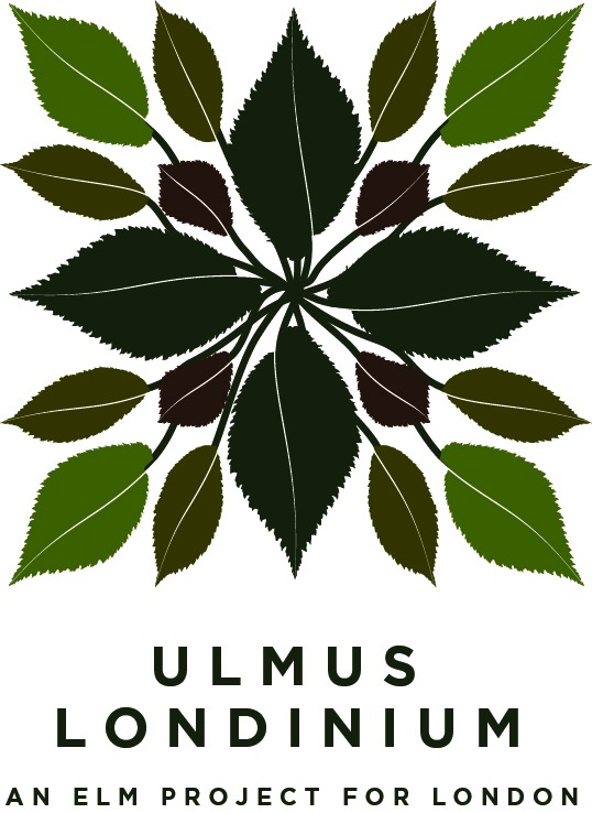 ul3.jpg