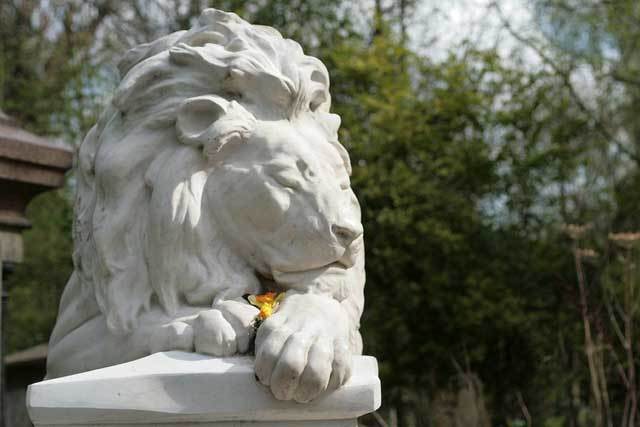 Abney Cemetery lion by dailyohdeer