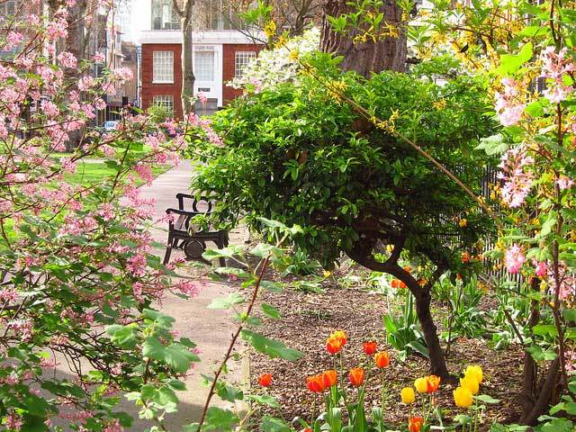 Hoxton Square in Spring by Laura Nolte