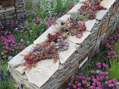 Beautifully planted wall in the Royal Bank of Canada's New Wild Garden