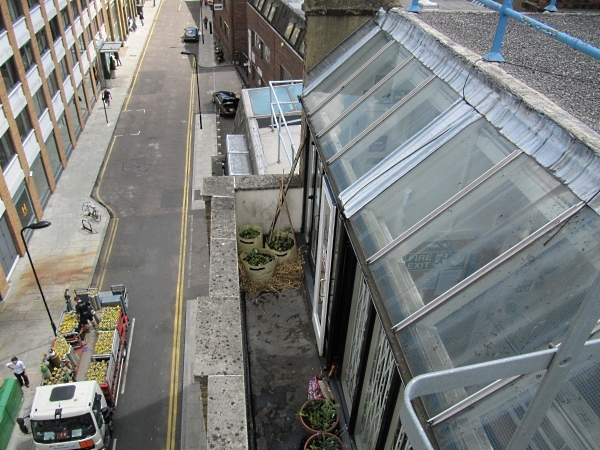 After: from above