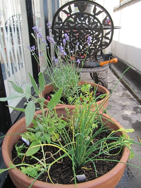 After: herb pots