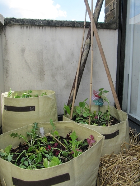 Planted planters