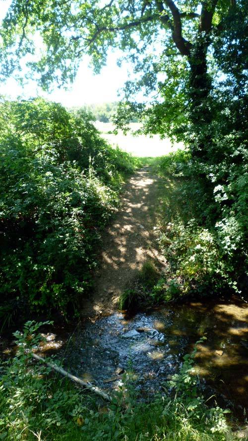 Desire line up the other side of the brook to who knows where