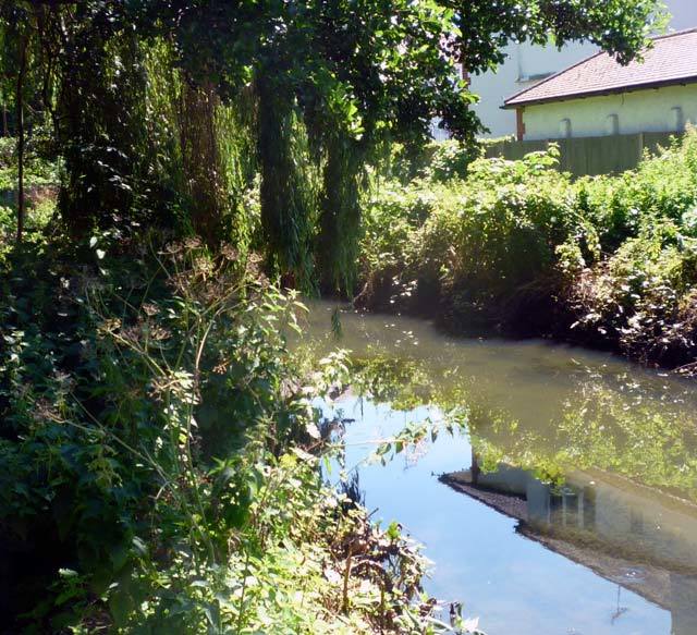 Pymmes Brook at the entrance to Arnos Park from Arnos Grove